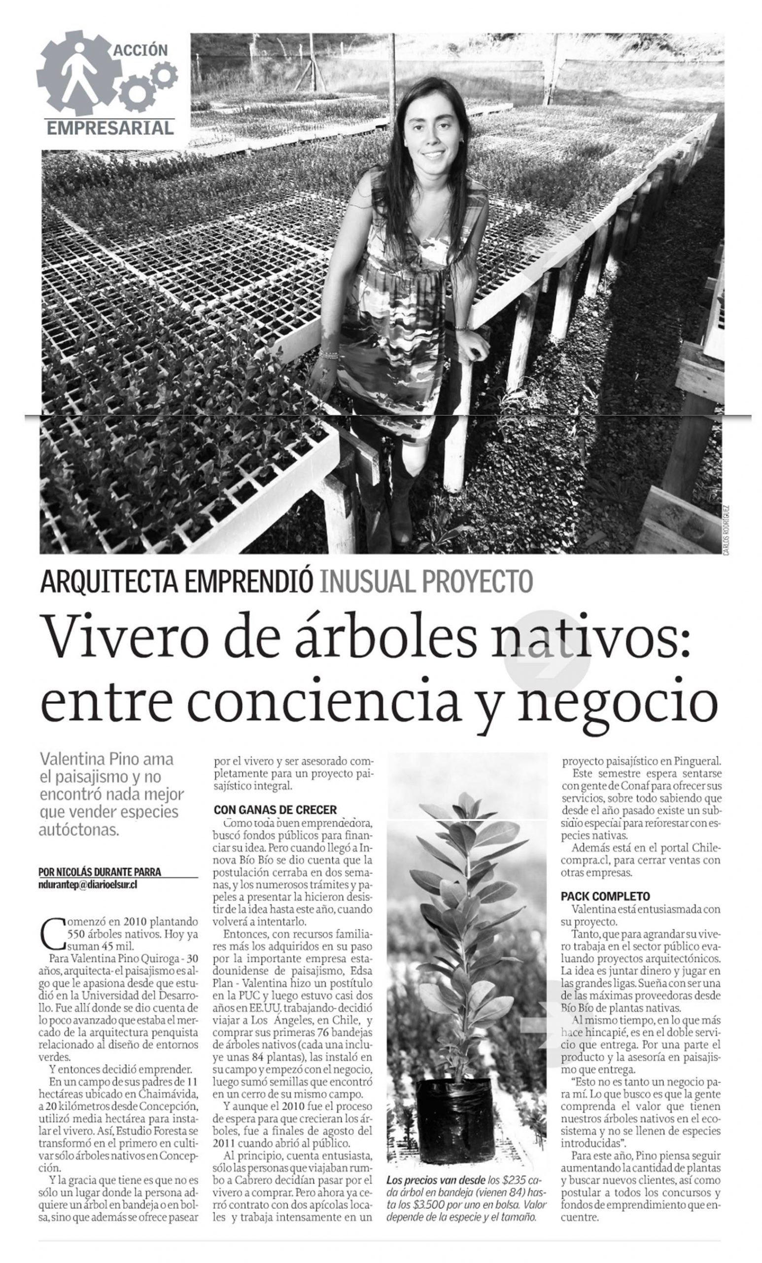 2012_Reportaje El Sur