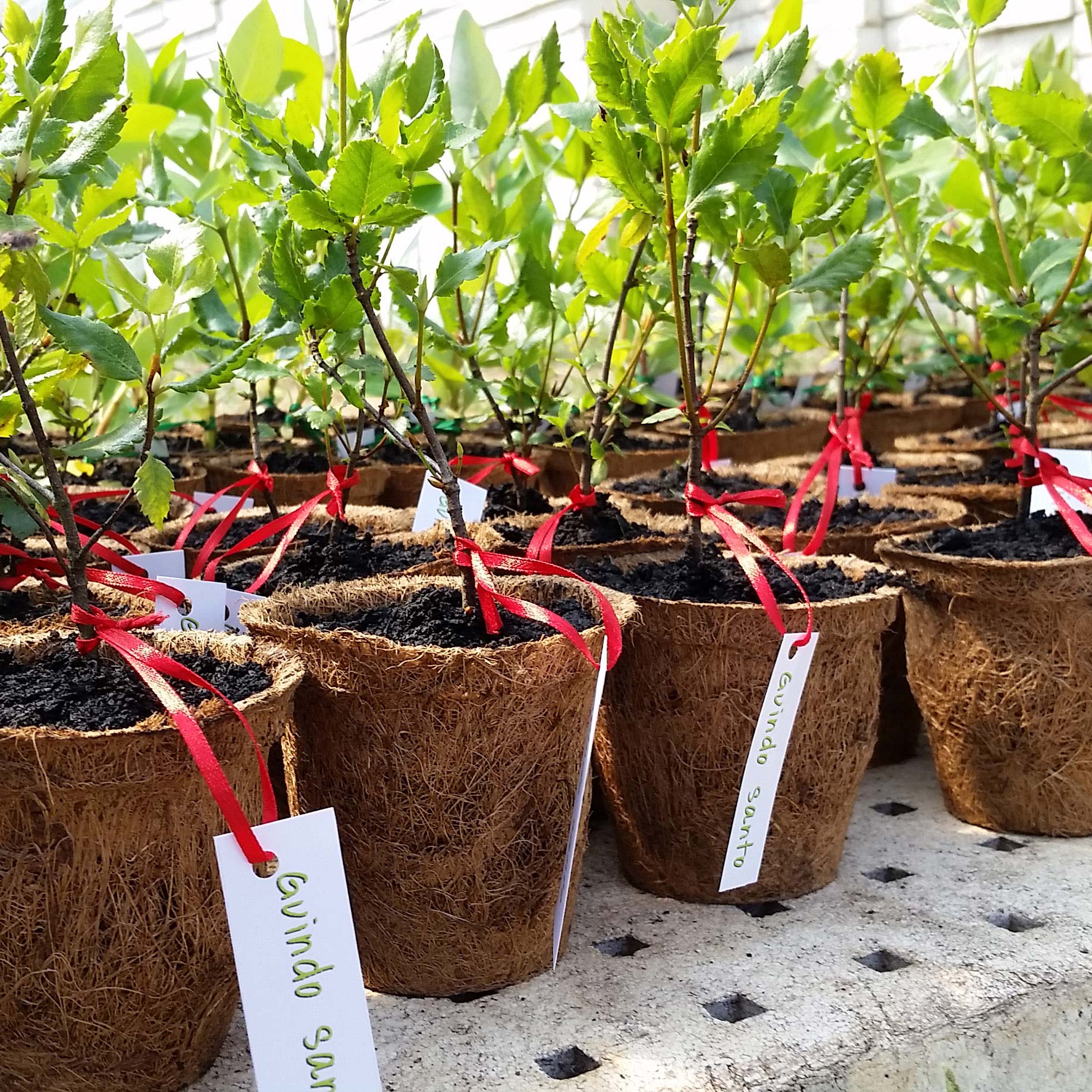 Producto Recuerdos_1(1) Producto Recuerdos_1(1)