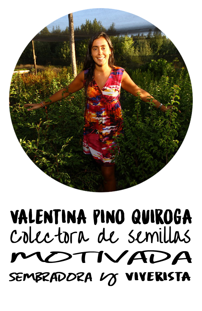 Valentina Pino Quiorga