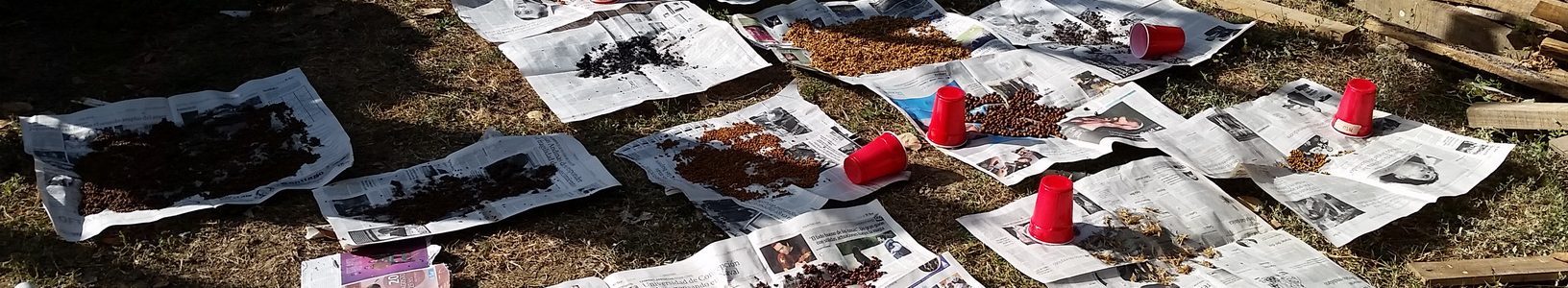 20160403_105607_resize 20160403_105607_resize