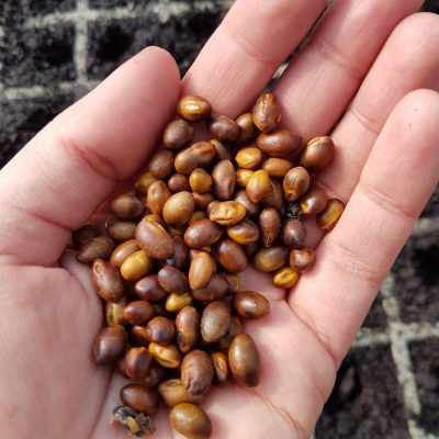 20170903_161723_resize 20170903_161723_resize