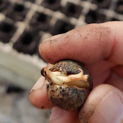 20170903_164137_resize 20170903_164137_resize