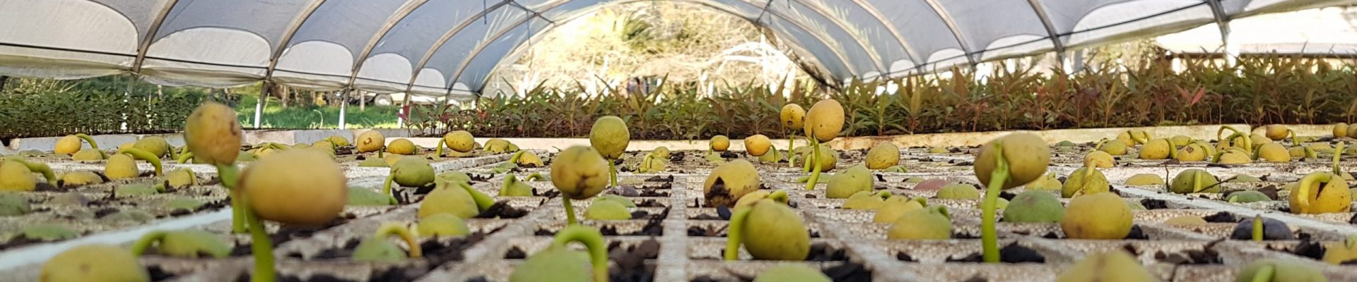 20170912_183525 20170912_183525