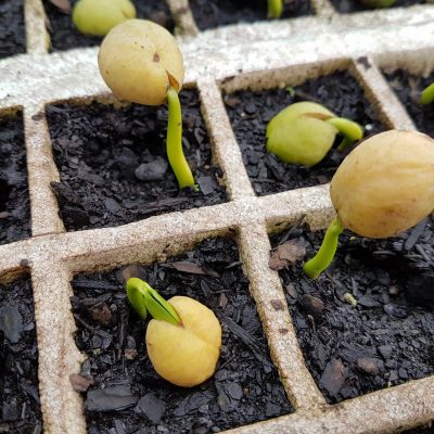 20170917_181031_resize 20170917_181031_resize