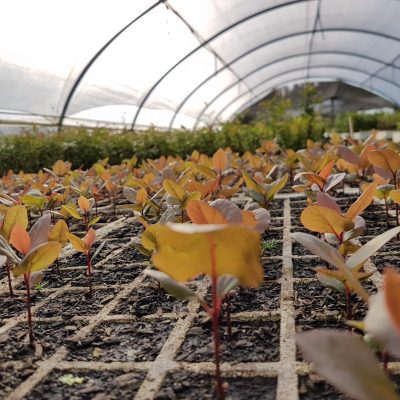 20171105_184853_resize 20171105_184853_resize