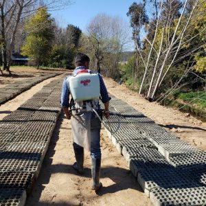 20180908_123702_resize_resize 20180908_123702_resize_resize