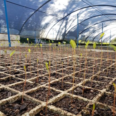 20191004_111006_resize 20191004_111006_resize