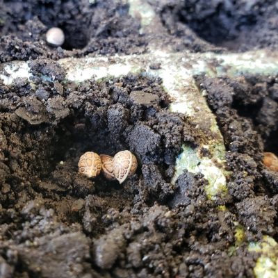 20191007_150712_resize 20191007_150712_resize