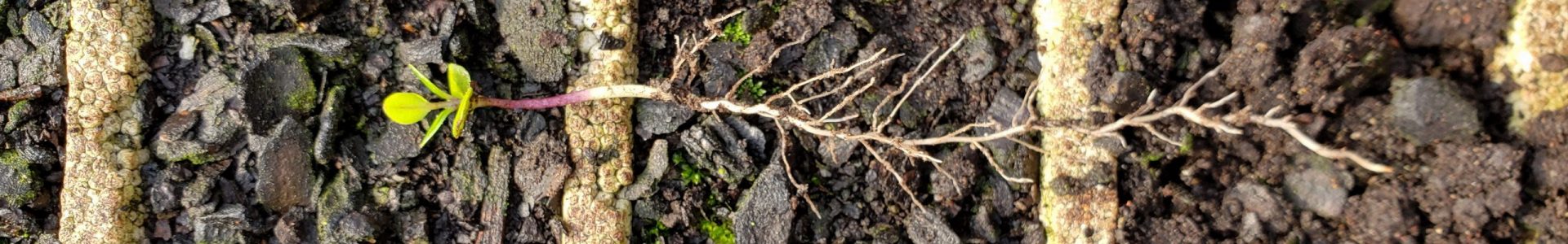 20191024_173931_resize 20191024_173931_resize