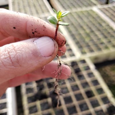 20191024_174048_resize 20191024_174048_resize