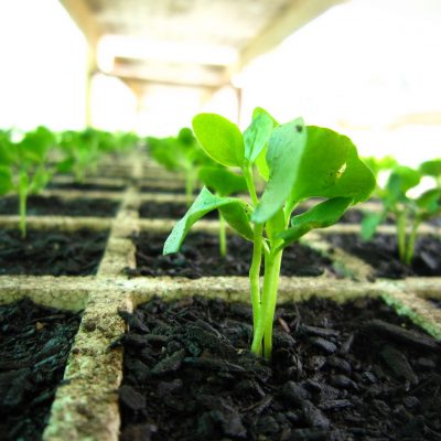 IMG_5120_resize IMG_5120_resize