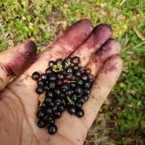 20200116_180208_resize